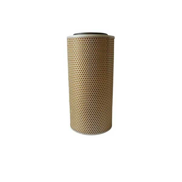 P136255 Primary Air Filter