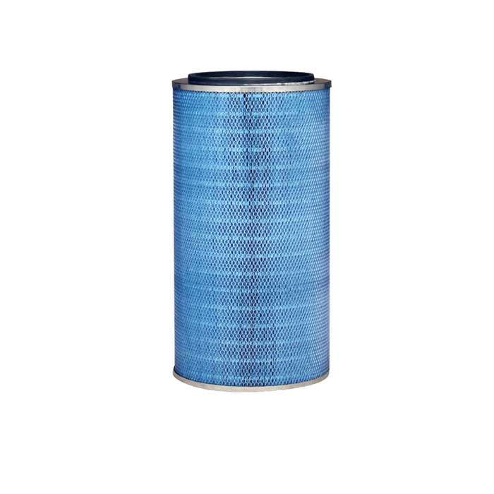 P145891 Cartridge Filter